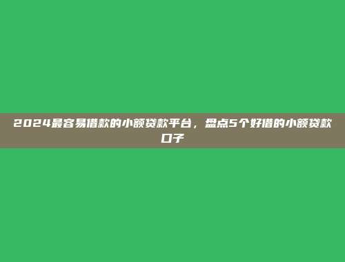 2024最容易借款的小额贷款平台,盘点5个好借的小额贷款口子